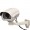 Day Night Vision Weatherproof Camera IRX60ES